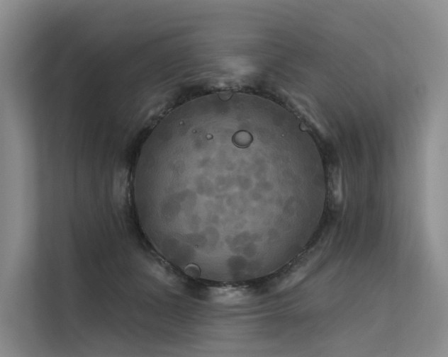 X0000112200511200908071436