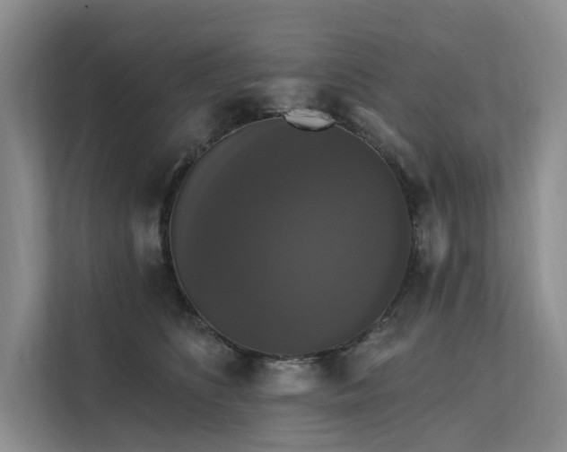X0000112200516200908071436