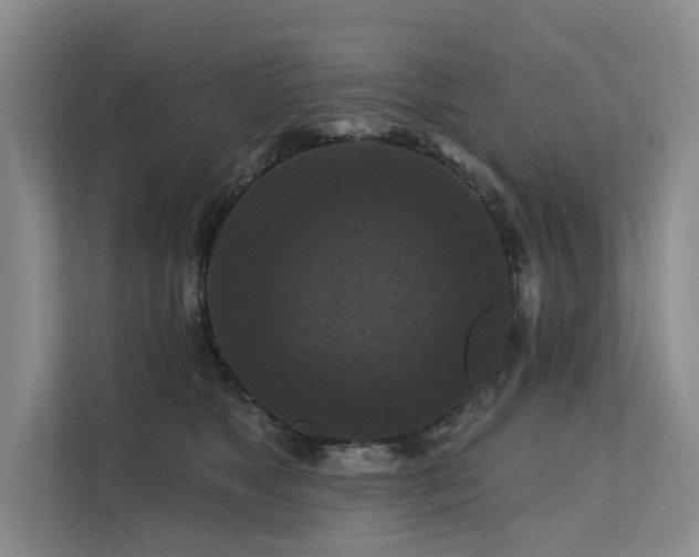 X0000112200517200908071436