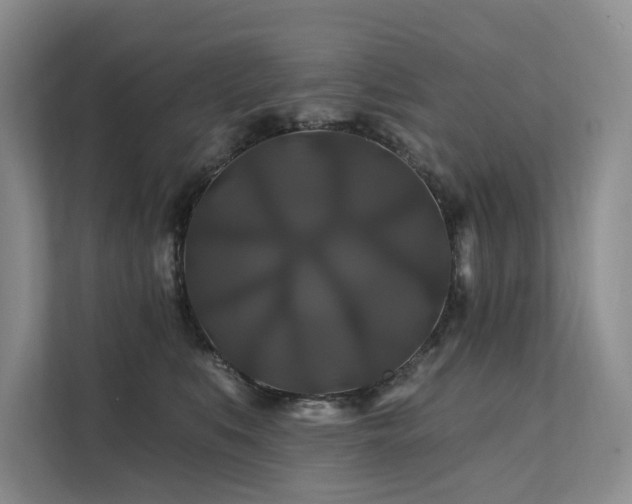 X0000112200519200908071436