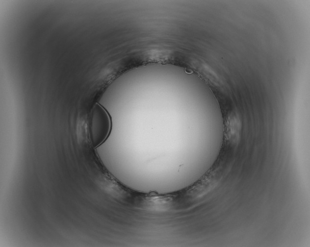 X0000112200522200908071436