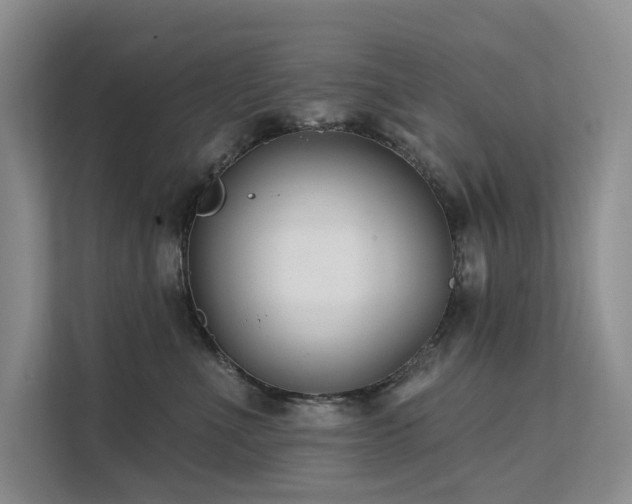 X0000112200523200908071436