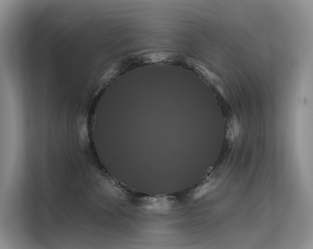 X0000112200524200908071436