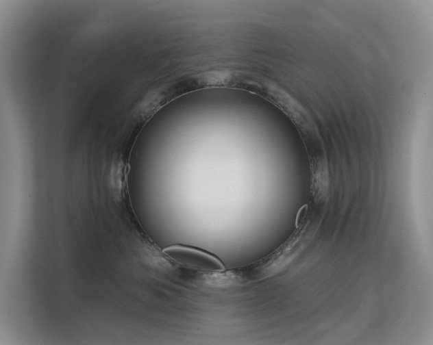 X0000112200525200908071436
