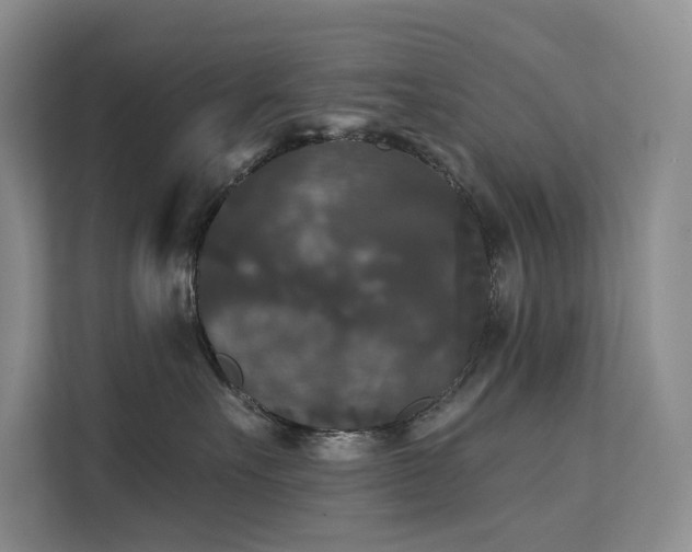 X0000112200527200908071436