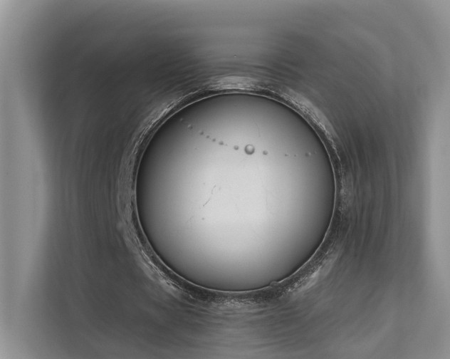 X0000112200529200908071436