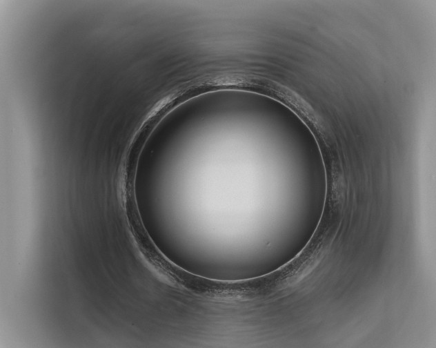 X0000112200530200908071436