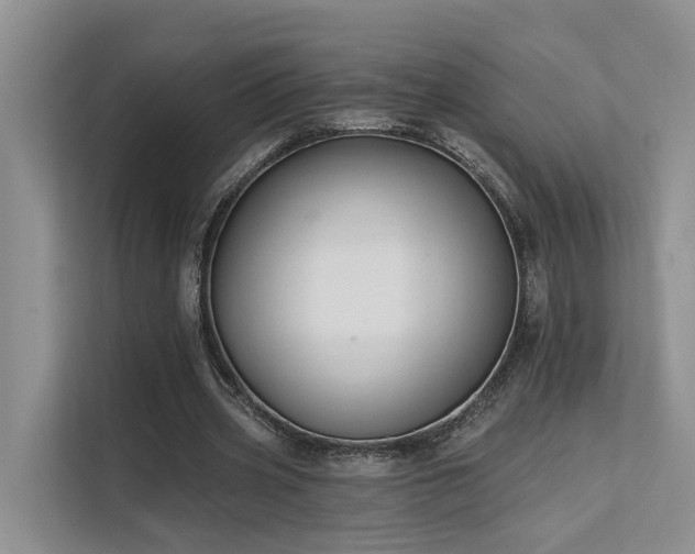 X0000112200533200908071436