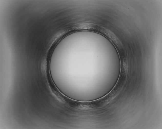 X0000112200534200908071436
