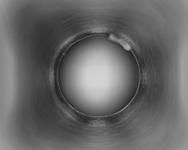 X0000112200535200908071436