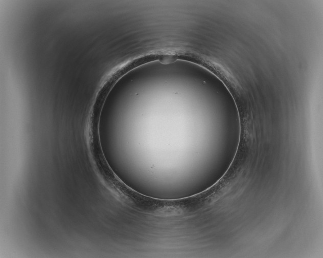 X0000112200536200908071436