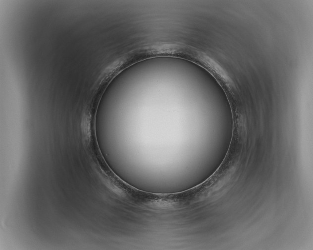 X0000112200537200908071436