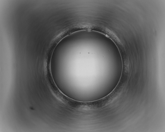 X0000112200538200908071436