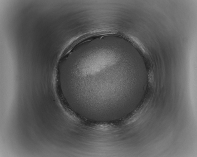 X0000112200540200908071436