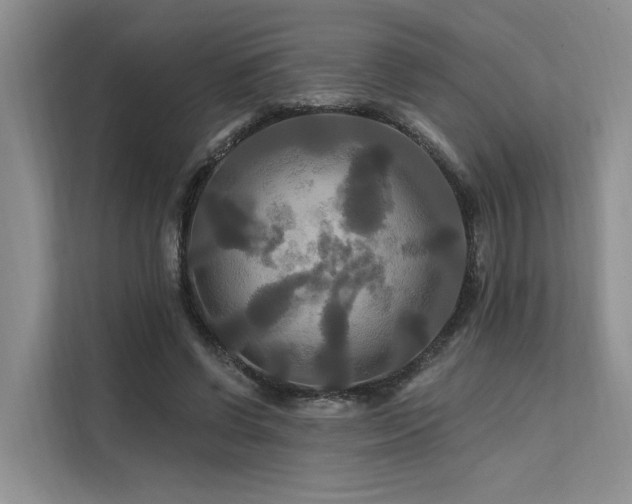 X0000112200542200908071436