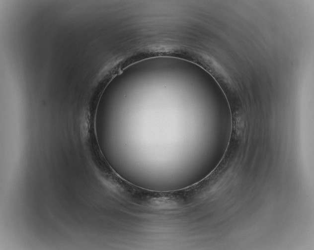 X0000112200544200908071436