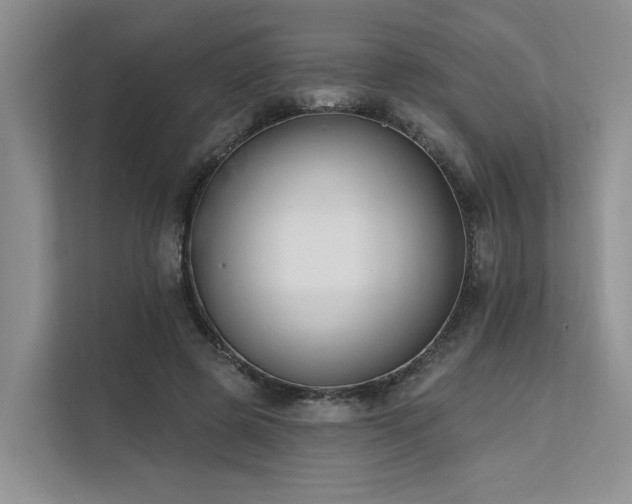 X0000112200545200908071436