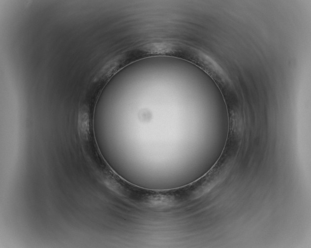 X0000112200549200908071436