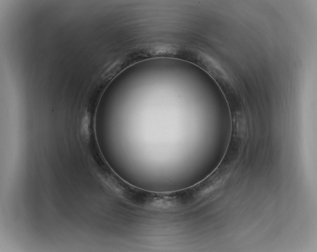 X0000112200550200908071436