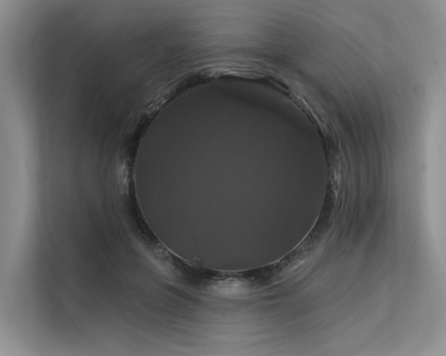 X0000112200551200908071436