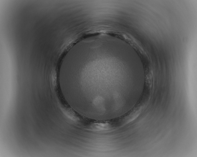 X0000112200552200908071436