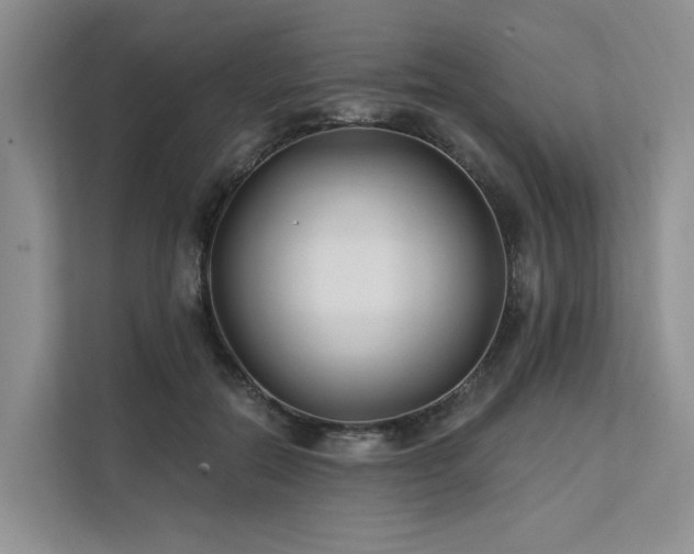 X0000112200554200908071436