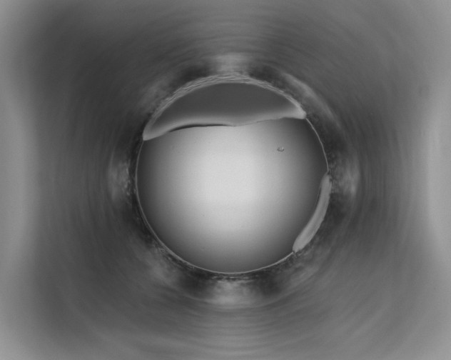 X0000112200560200908071436