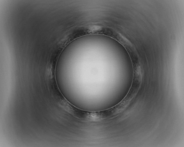 X0000112200565200908071436