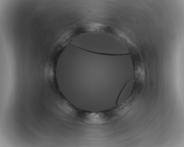 X0000112200566200908071436