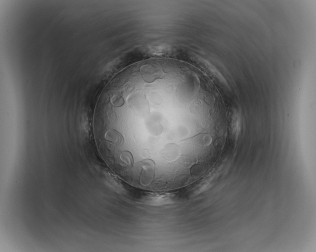 X0000112200569200908071436
