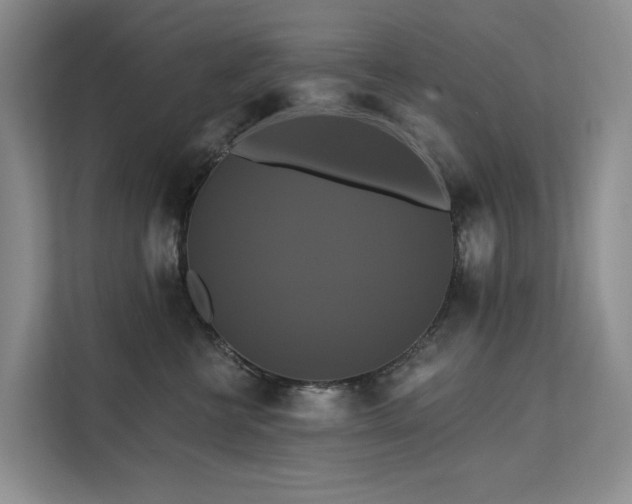 X0000112200570200908071436
