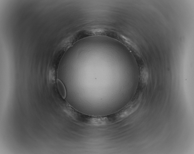 X0000112200571200908071436