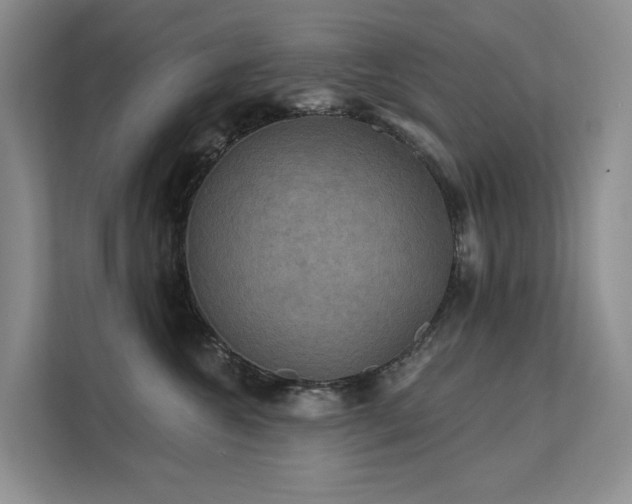 X0000112200572200908071436