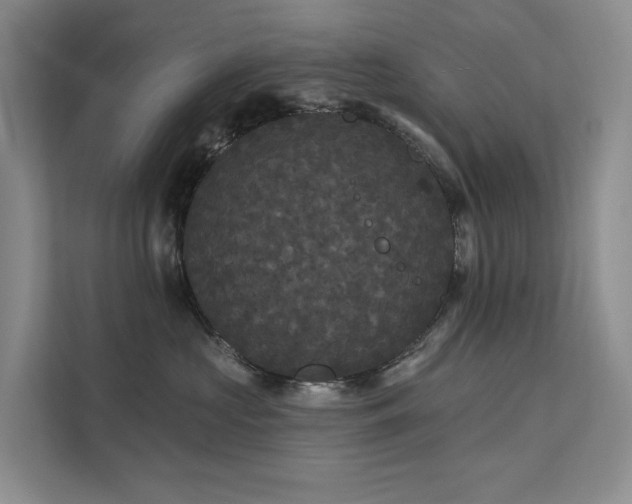 X0000112200573200908071436