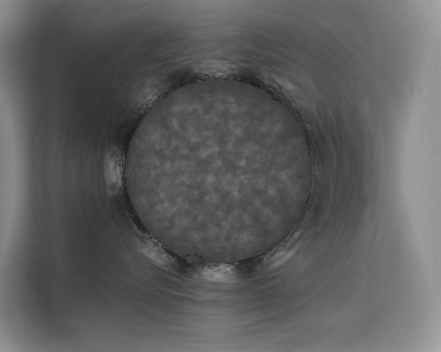 X0000112200576200908071436