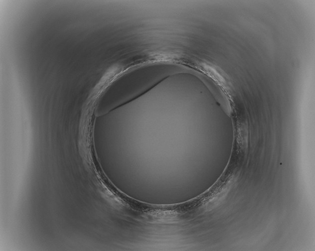 X0000112200577200908071436