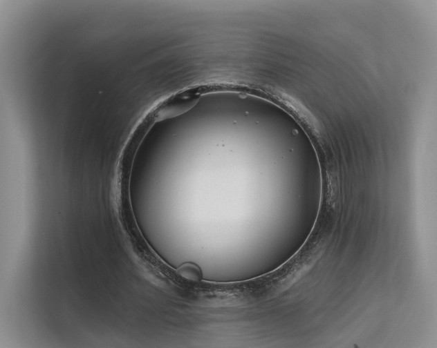 X0000112200580200908071436