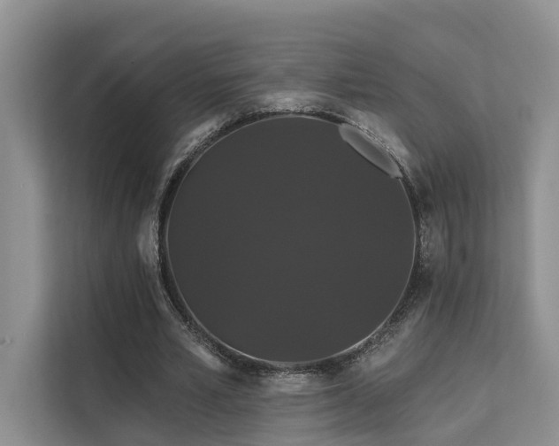 X0000112200581200908071436