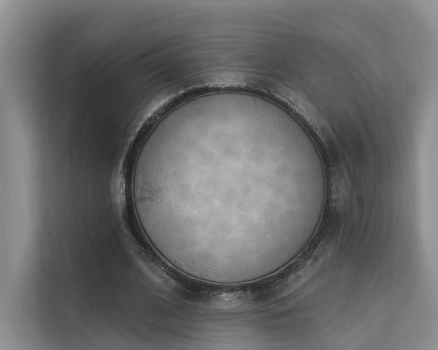 X0000112200584200908071436