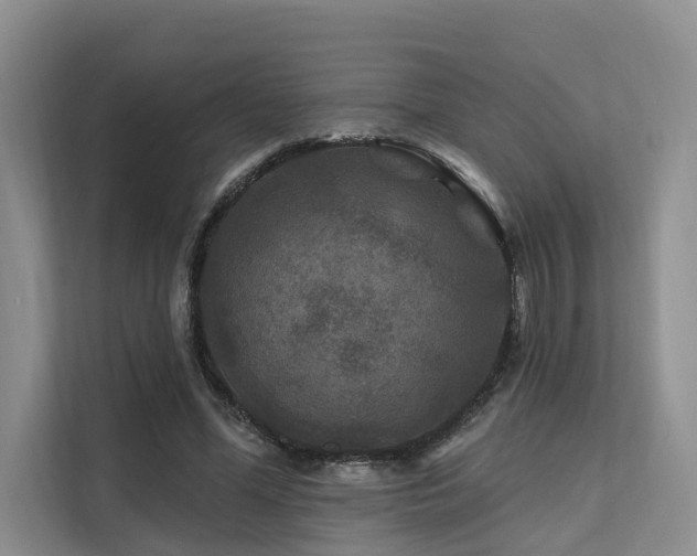 X0000112200588200908071435