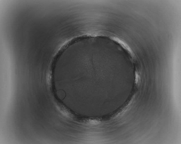 X0000112200592200908071435