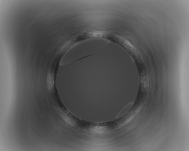 X0000112200593200908071435