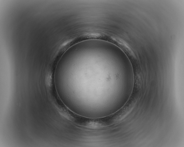 X0000112200596200908071435
