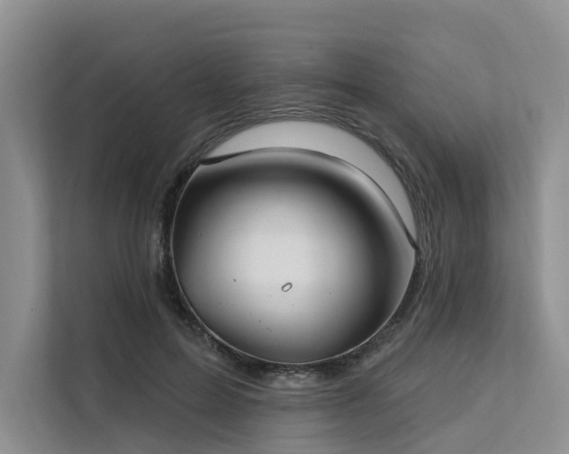 X0000112200599200908071435