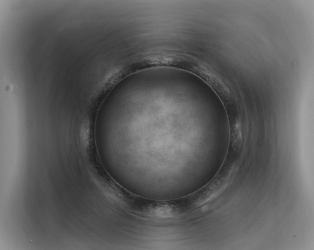 X0000112200600200908071435