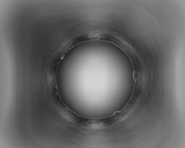 X0000112200601200908071435