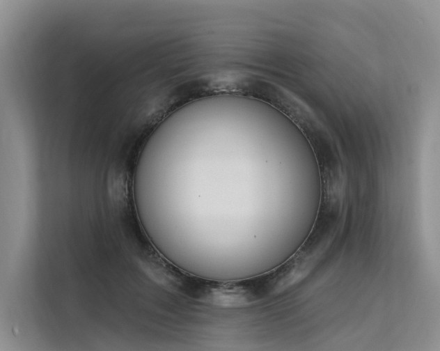 X0000112200603200908071435