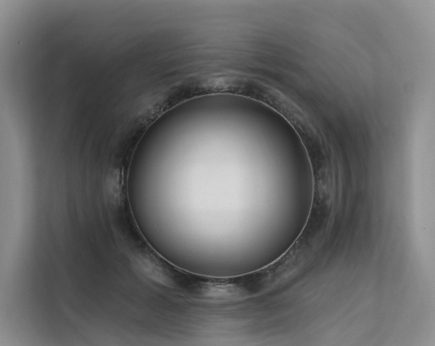 X0000112200605200908071435
