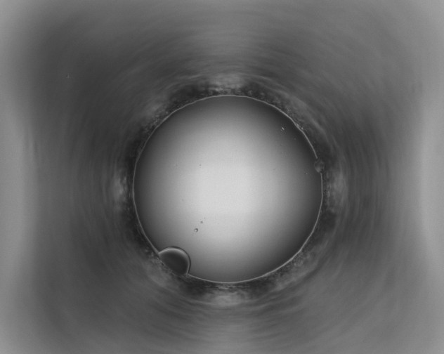 X0000112200608200908071435