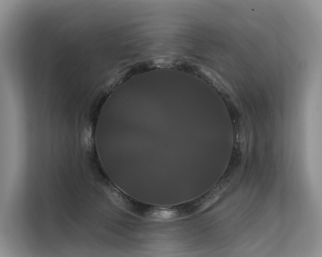 X0000112200610200908071435